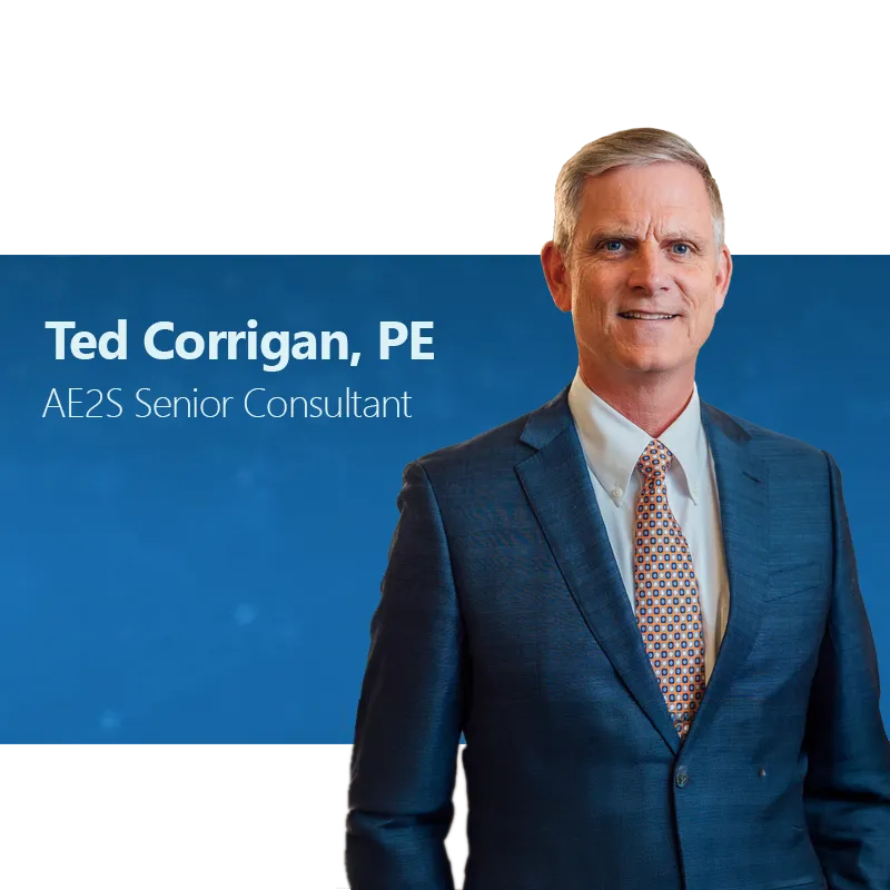 AE2S Senior Consultant